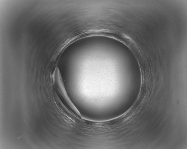 X0000057061361200509161441