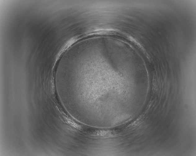 X0000057061362200509161441