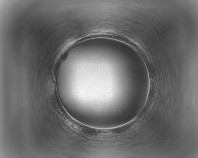 X0000057061363200509161441