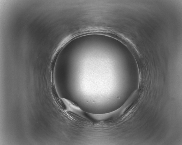 X0000057061365200509161441