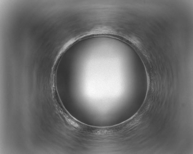 X0000057061366200509161441