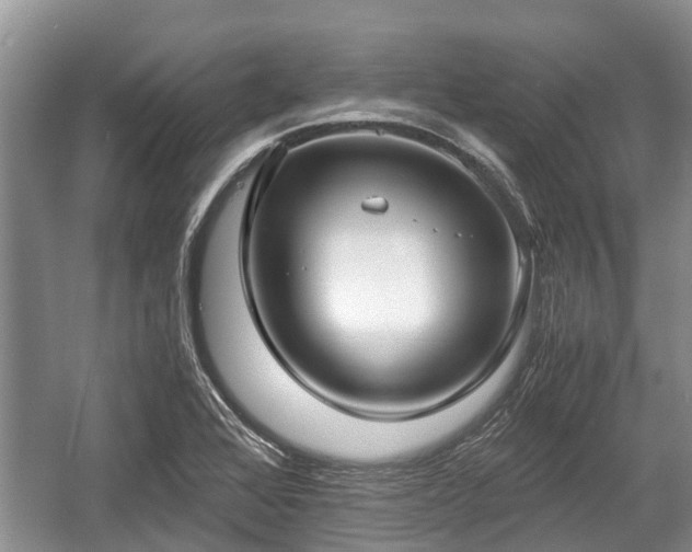 X0000057061368200509161441