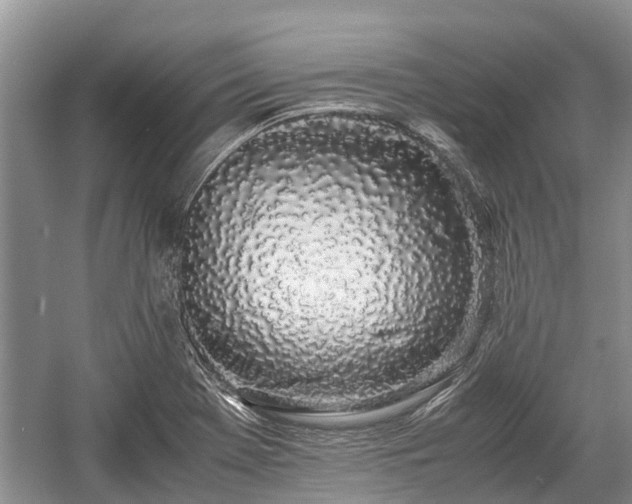 X0000057061369200509161441