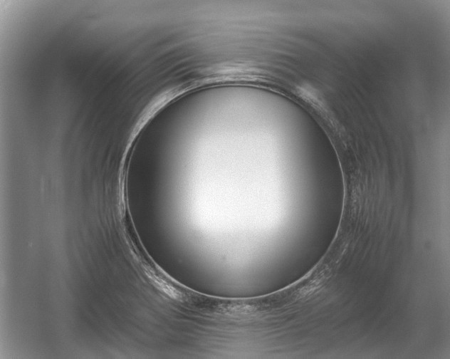 X0000057061370200509161440