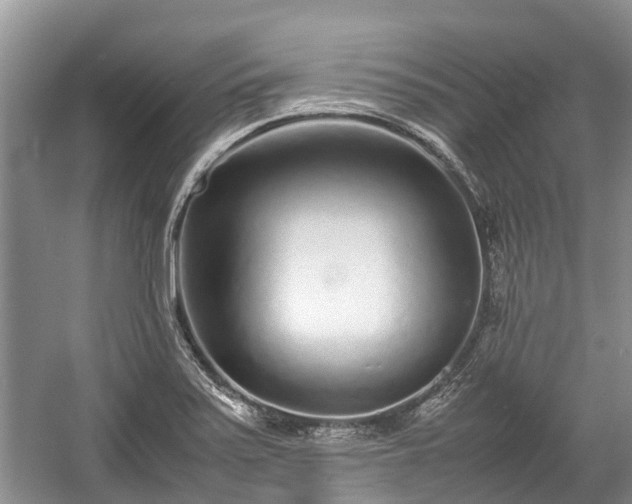 X0000057061371200509161440