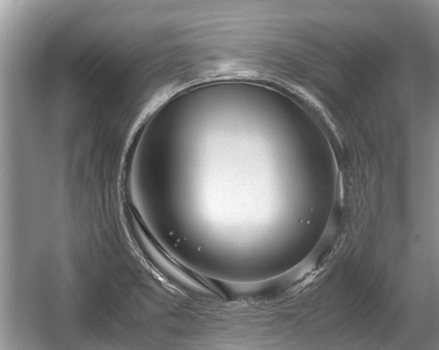 X0000057061373200509161440