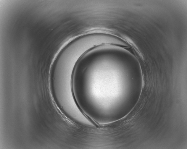 X0000057061376200509161440