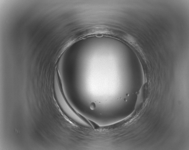 X0000057061377200509161440