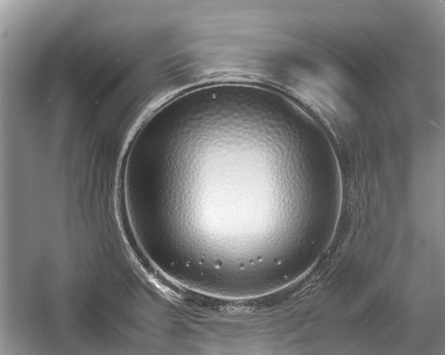 X0000057061379200509161440