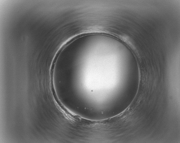 X0000057061380200509161440