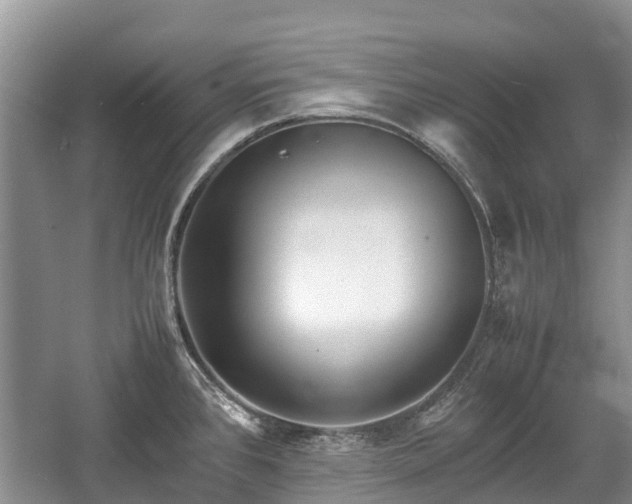 X0000057061384200509161440