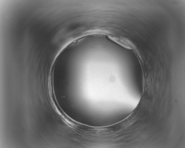 X0000057061391200509161440