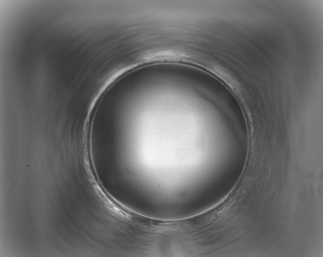 X0000057061392200509161440