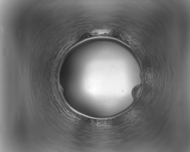 X0000057061393200509161439