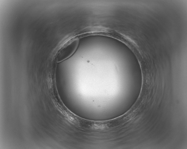 X0000057061407200509161440