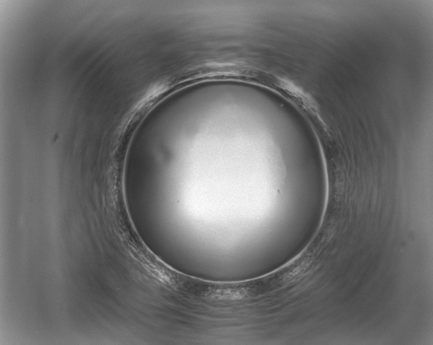 X0000057061411200509161440