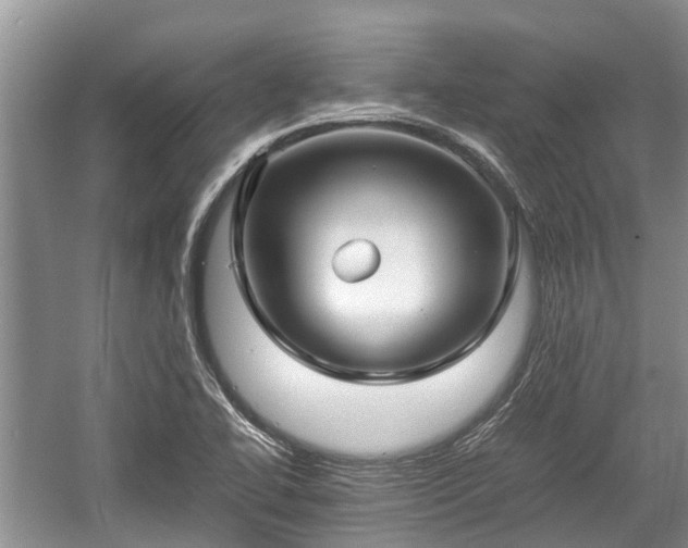 X0000057061414200509161440