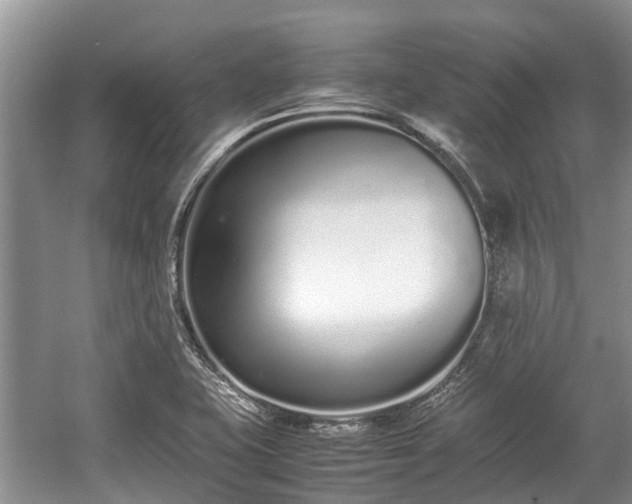 X0000057061415200509161440