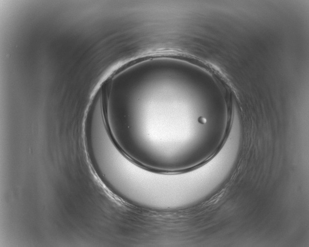 X0000057061422200509161440