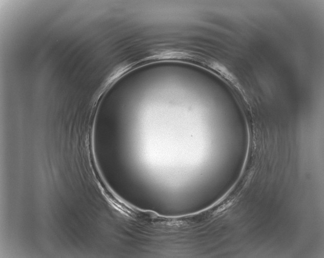 X0000057061425200509161440