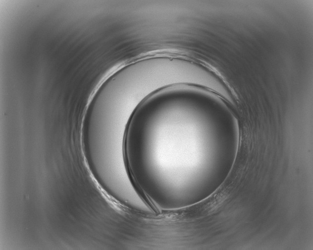 X0000057061426200509161440