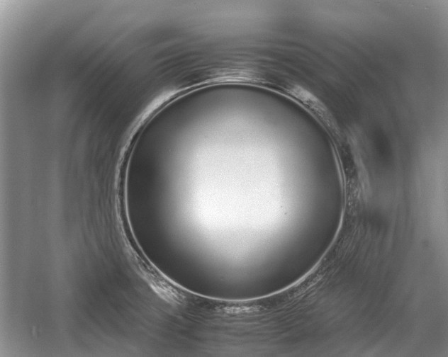 X0000057061427200509161440