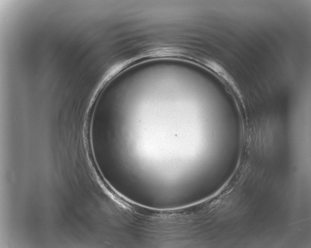 X0000057061429200509161440