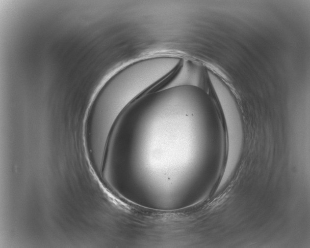 X0000057061430200509161440