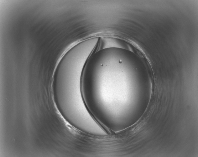 X0000057061434200509161440