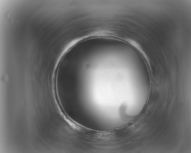 X0000057061437200509161440