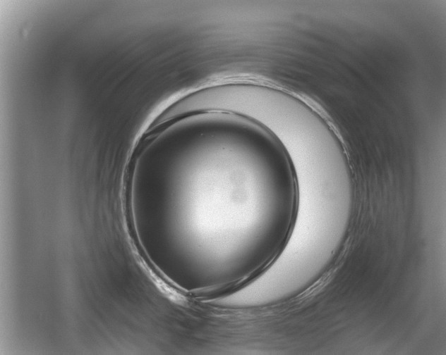 X0000057061438200509161440