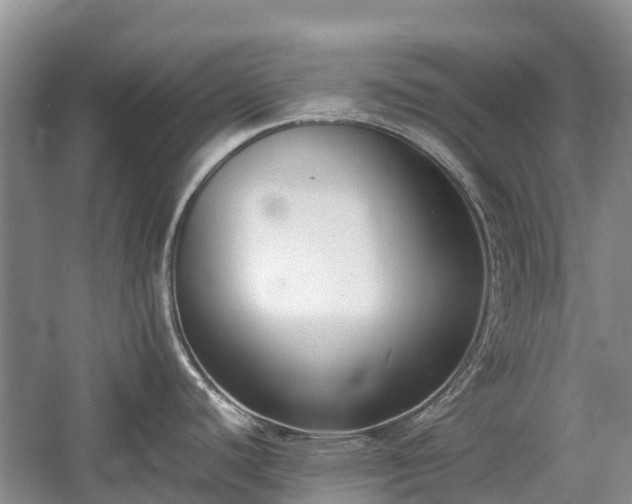 X0000057061440200509161440