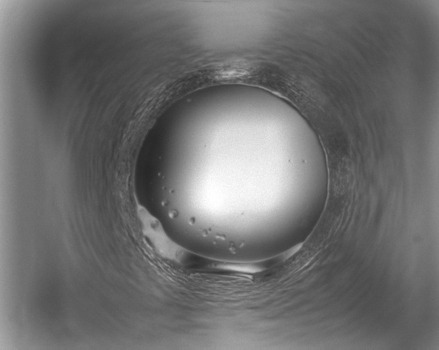 X0000057061441200509161439