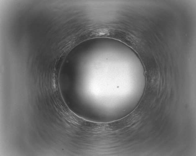 X0000057061442200509161439