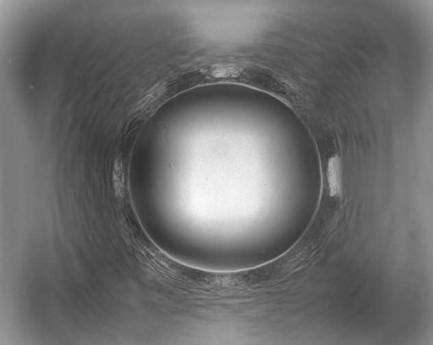 X0000057061443200509161439