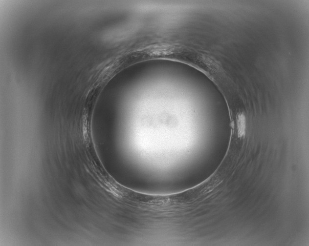 X0000057061444200509161439