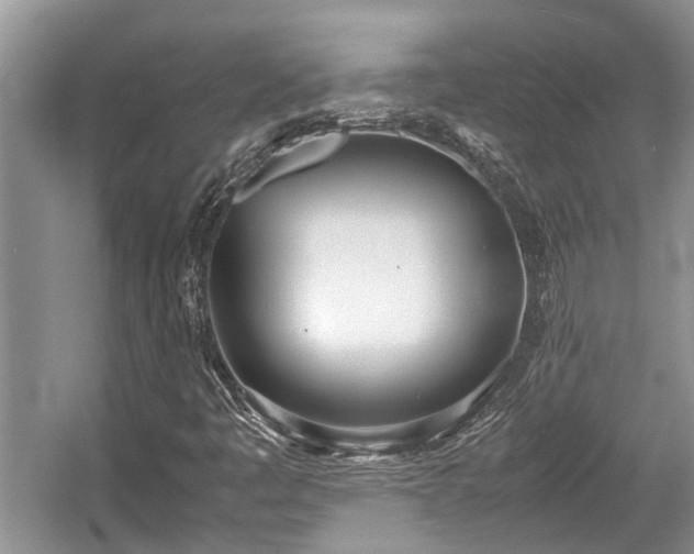 X0000057061445200509161439