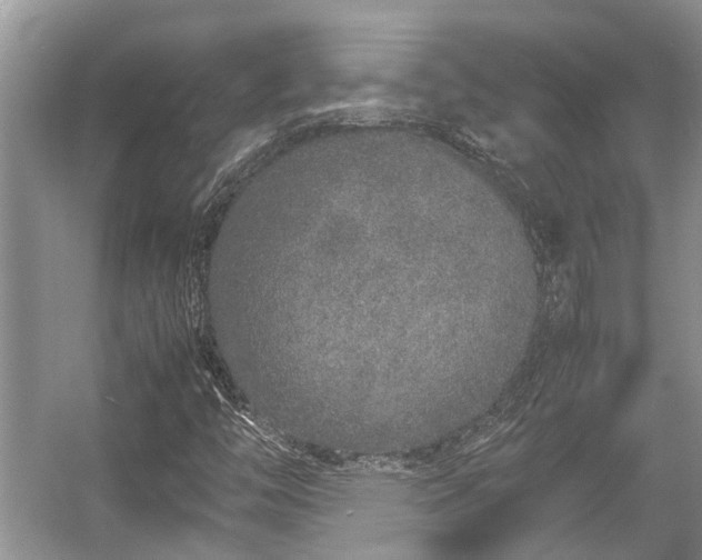 X0000057061446200509161439