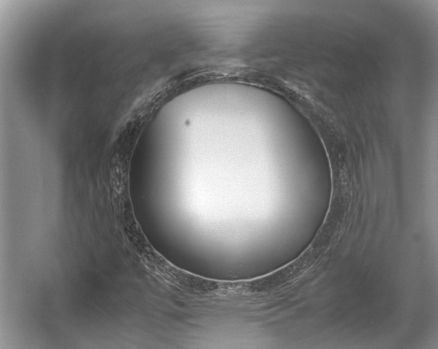 X0000057061447200509161439