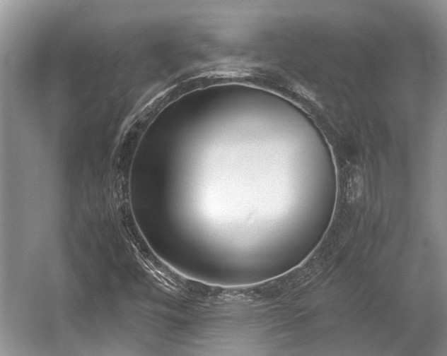 X0000057061448200509161439