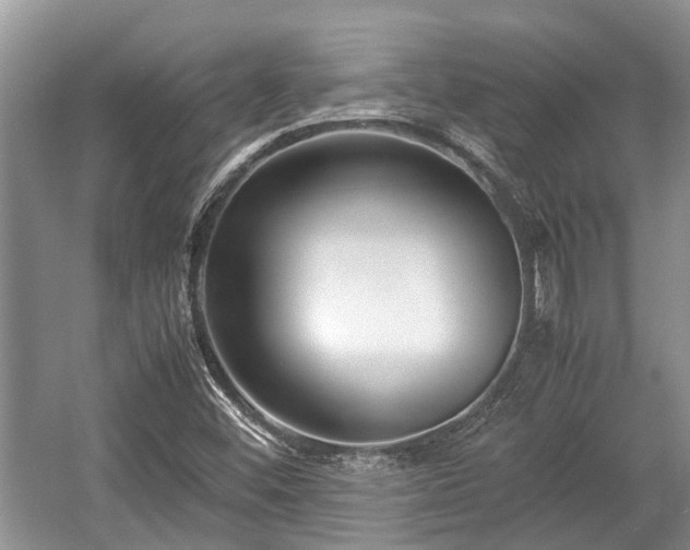 X0000057061452200509161439