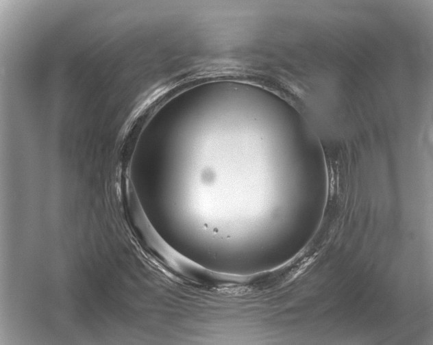 X0000057061453200509161439