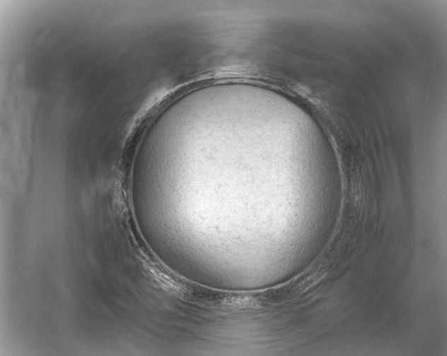 X0000057061454200509161439