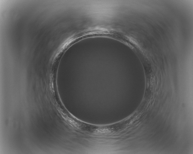 X0000057061455200509161439