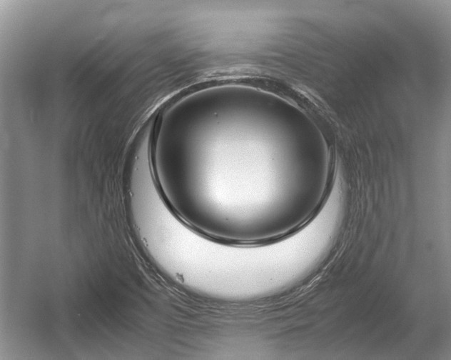 X0000057061457200509161439