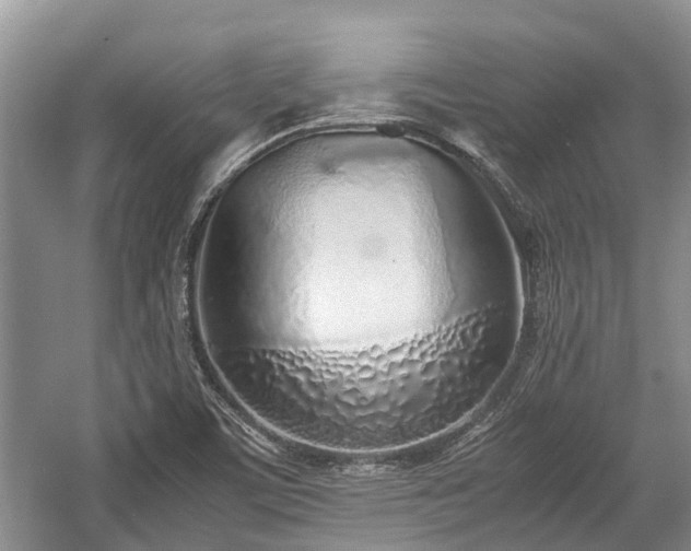 X0000057061459200509161439