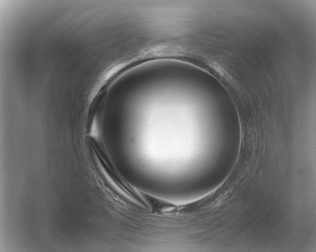 X0000057061461200509161439