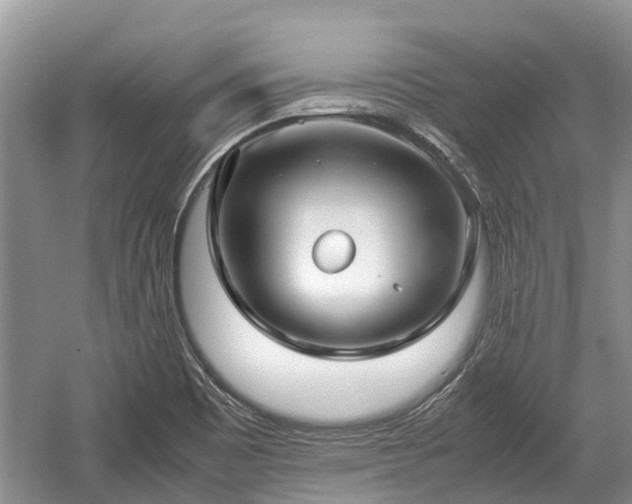 X0000057061465200509161439