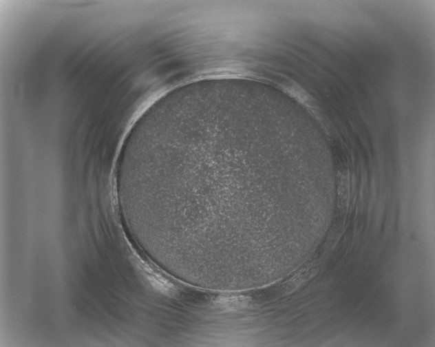 X0000057061466200509161439