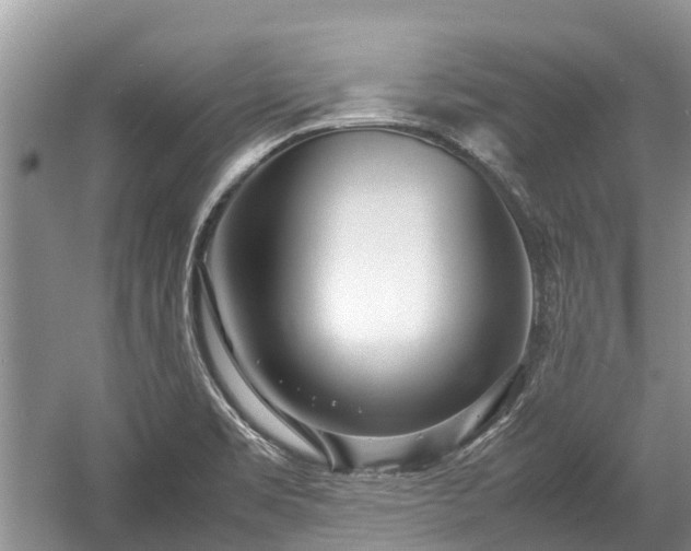 X0000057061469200509161439